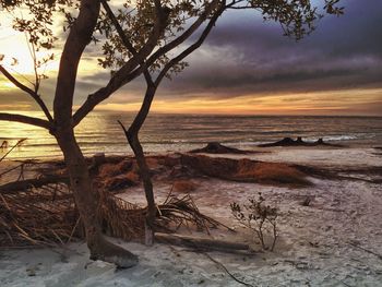 Scenic view of sea at sunset