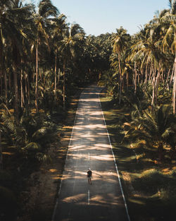 From above unrecognizable person on empty asphalt road between green tropical palms with blue sky on background