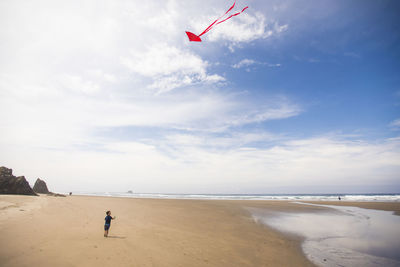 Little boy flies a kite on the beach