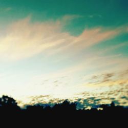 Silhouette of trees at sunset