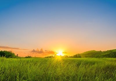 Scenic view of field against sky during sunset