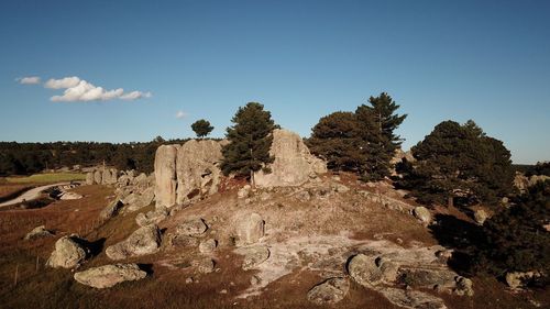 View of trees on landscape against sky