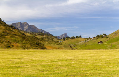 Scenic view of field against sky