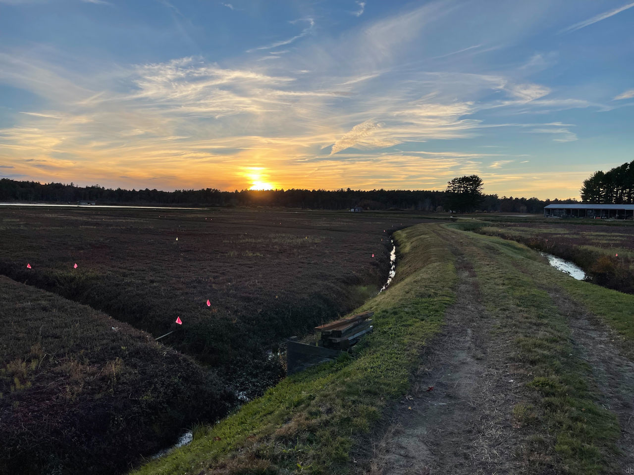 sky, landscape, horizon, environment, sunset, nature, cloud, hill, land, field, agriculture, scenics - nature, rural scene, plant, rural area, coast, beauty in nature, road, sea, no people, transportation, farm, tranquility, sun, evening, dusk, grass, outdoors, sunlight, water, travel, tranquil scene, non-urban scene, waterway, dirt, crop