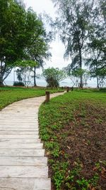 Footpath amidst trees in park