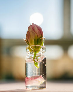 A bottle of cosmetic gel with rose flower.