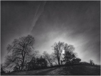 Low angle view of bare trees against sky