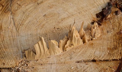 Full frame shot of rocks on land