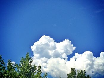 Low angle view of trees against cloudy sky