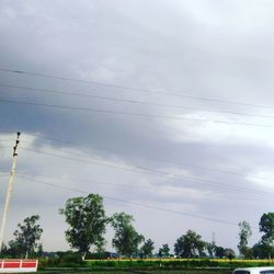 Low angle view of birds flying against sky