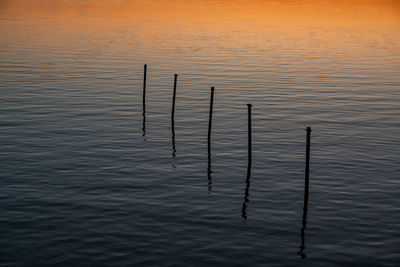 High angle view of wooden post in lake