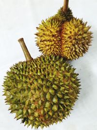 Close-up of fruits