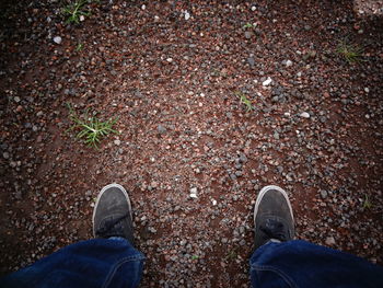 Low section of man standing on ground