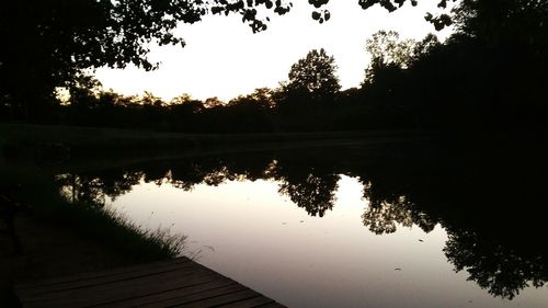 Reflection of trees in calm lake