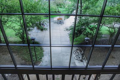 Plants in cage at greenhouse