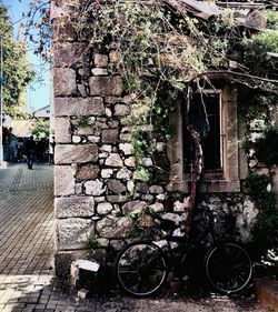 Bicycle against wall and trees in city