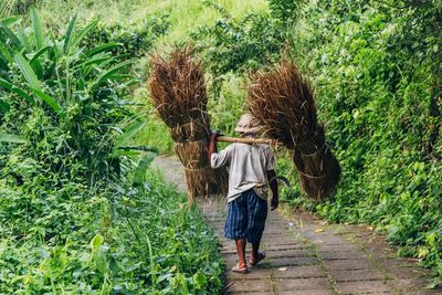 Rear view of man carrying bales while walking on footpath