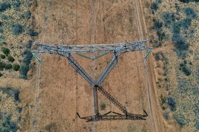 High angle view of old plant on field