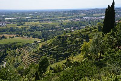 High angle view of agricultural field against sky
