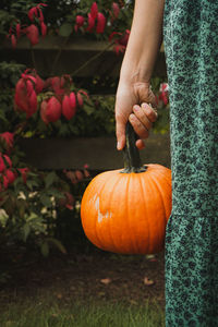 Low angle view of person holding pumpkin during autumn