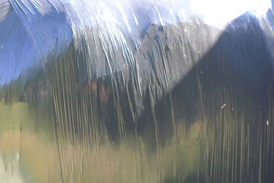 Close-up of grass on field against sky