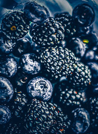 Full frame shot of blueberries