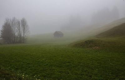 Scenic view of landscape in foggy weather