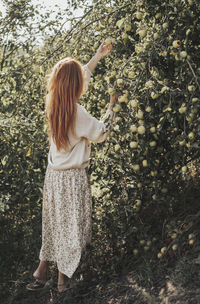 Rear view of woman standing against apple tree