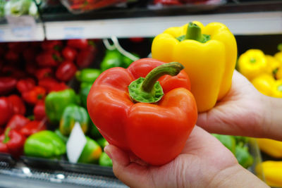 Close-up of cropped hand holding tomatoes