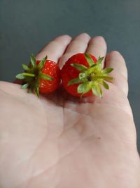 Close-up of hand holding strawberries