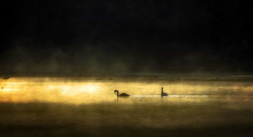 Silhouette man in sea against sky