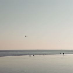 Calm sea against clear sky