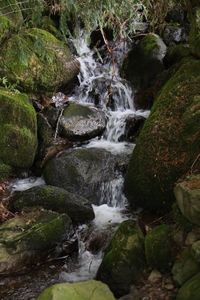 Stream flowing through rocks