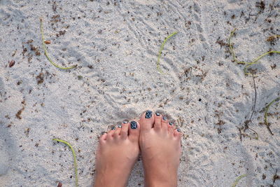 Low section of woman on sand at beach