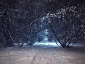 Bare trees on snow covered landscape