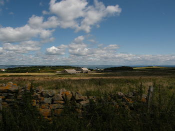 Scenic view of agricultural field against sky