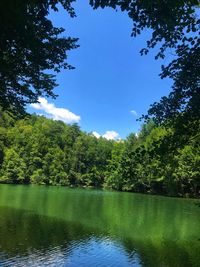 Scenic view of lake in forest against blue sky