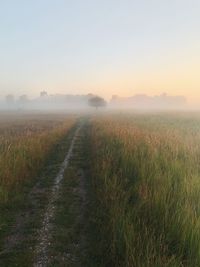 Scenic view of field against sky during foggy weather