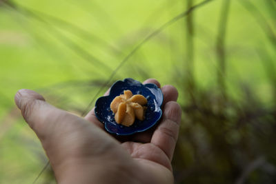 Close-up of hand holding cookies flowers 