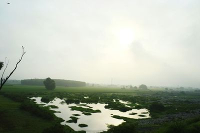 Scenic view of grassy field against sky