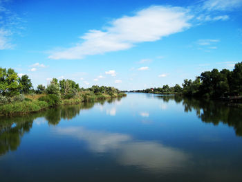 Scenic view of dnieper river amidst trees against sky