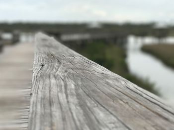 Close-up of wood