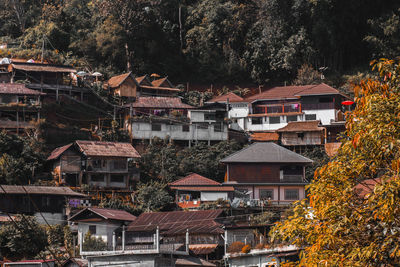 Houses and trees in city during autumn