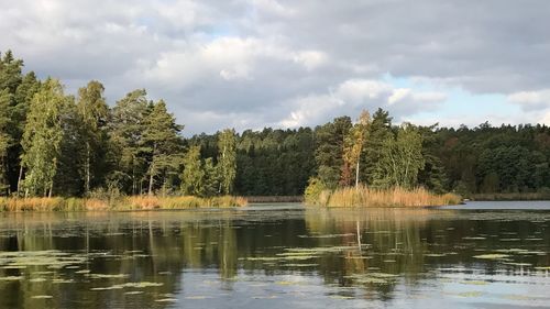 Scenic view of lake in forest against sky