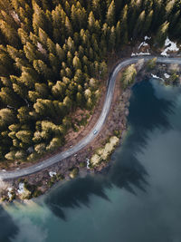 High angle view of road amidst trees