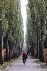 Rear view of people walking on road in forest