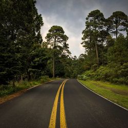 Empty road amidst trees against sky