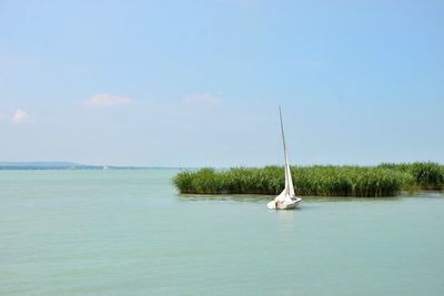 Sailboat sailing on sea against sky