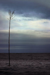 Scenic view of sea against sky at dusk