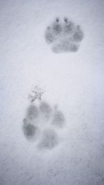 High angle view of snow on field